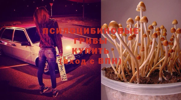 винт Белоозёрский